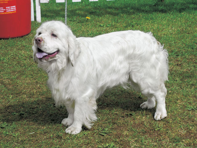 �����Ƒ��Ɍ}����O��